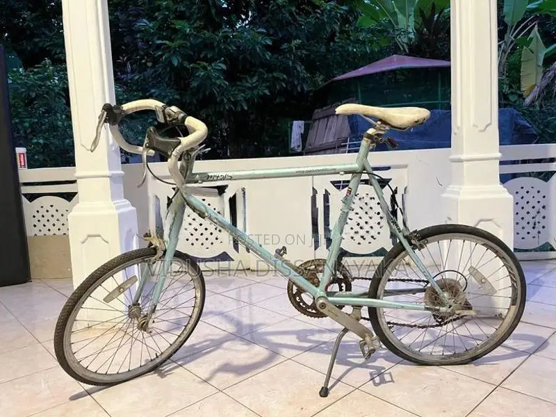 Manhattan M451S Japan Bicycle (24’)