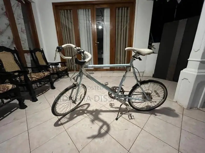 Manhattan M451S Japan Bicycle (24’)
