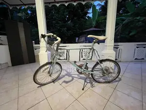 Manhattan M451S Japan Bicycle (24’)