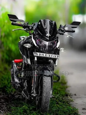 TVS Apache RTR 160 4V 2019