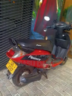 Hero Pleasure 2010