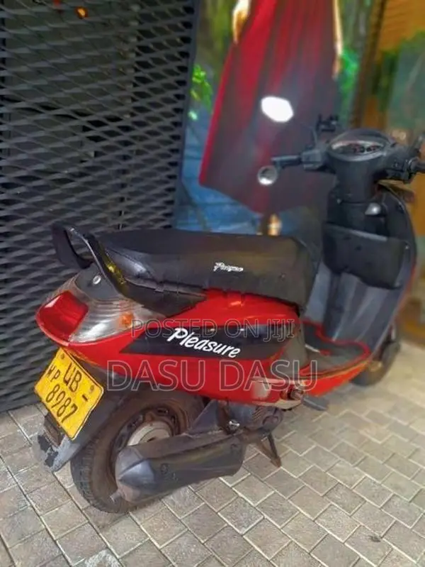 Hero Pleasure 2010