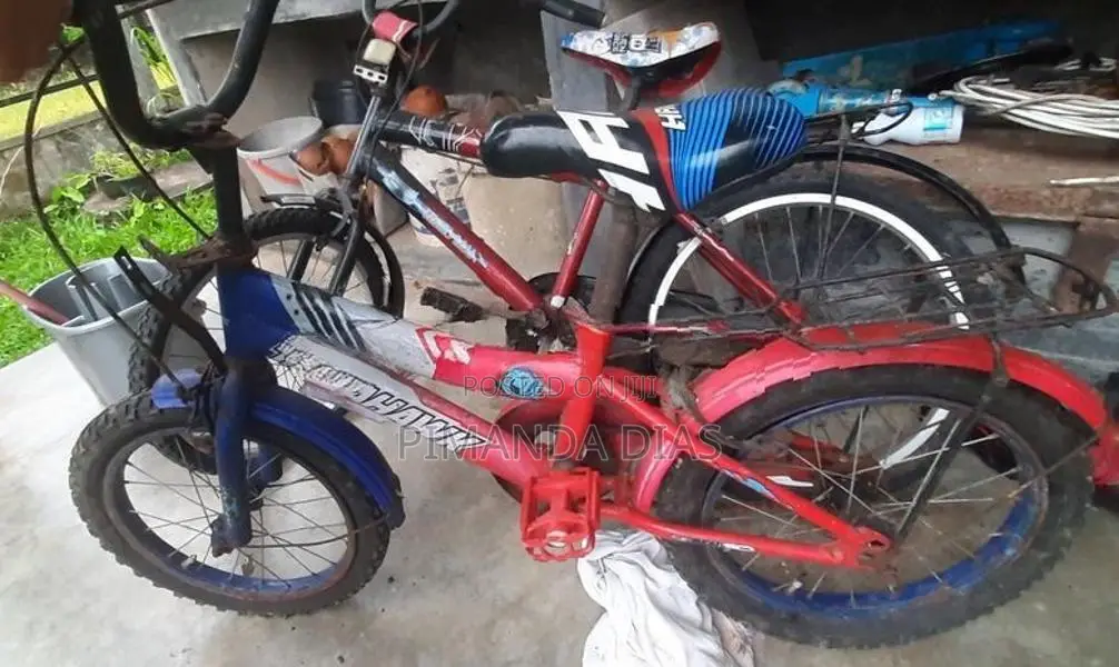 Dsi Bicycle