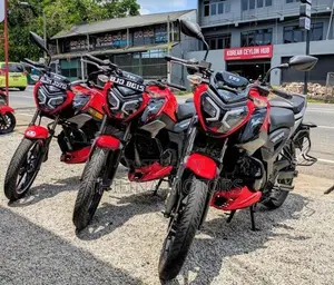 TVS Raider 125 2024