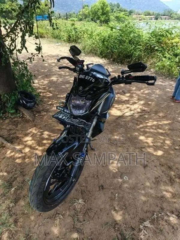 Yamaha FZs V2 2019