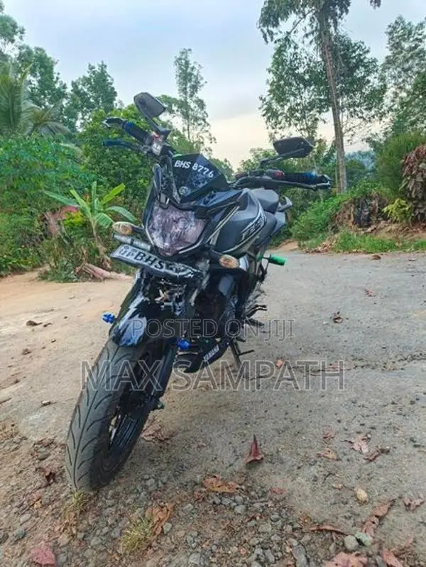 Yamaha FZs V2 2019