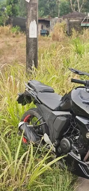 Yamaha FZs V2 2015