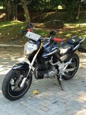 Demak DZM 200 2015