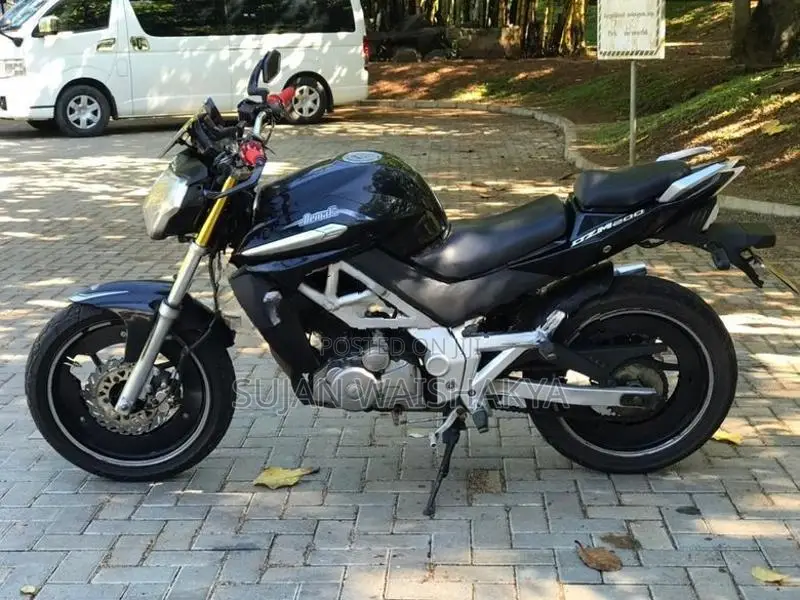 Demak DZM 200 2015
