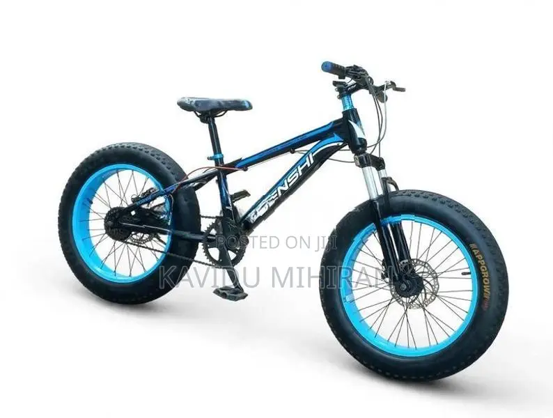 Japan Fat Tire Bicycle