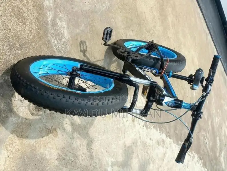 Japan Fat Tire Bicycle
