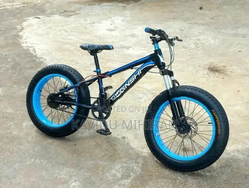 Japan Fat Tire Bicycle