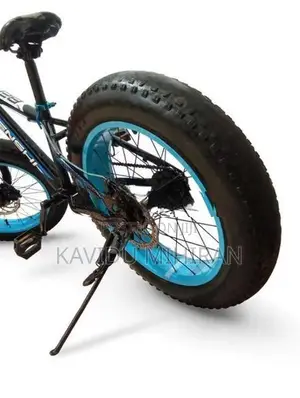 Japan Fat Tire Bicycle