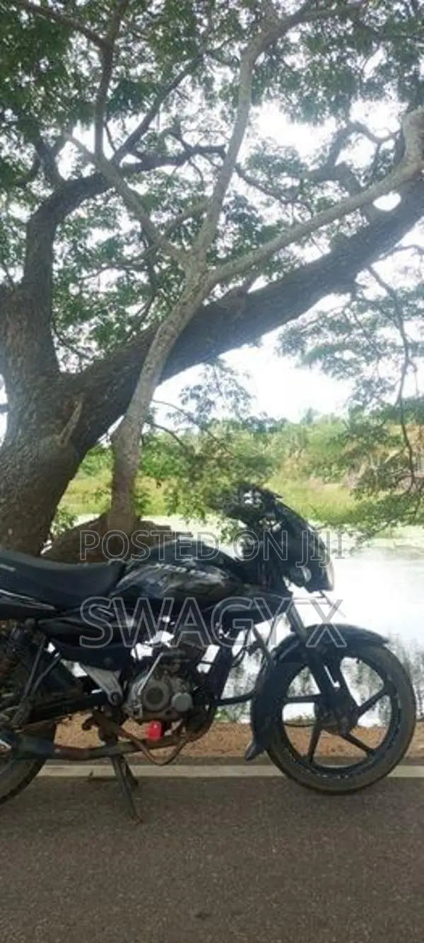 Bajaj XCD 125 2008