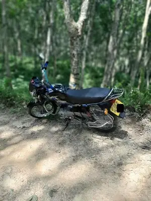 Bajaj CT100 2016