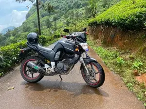 Yamaha FZ V1 2010
