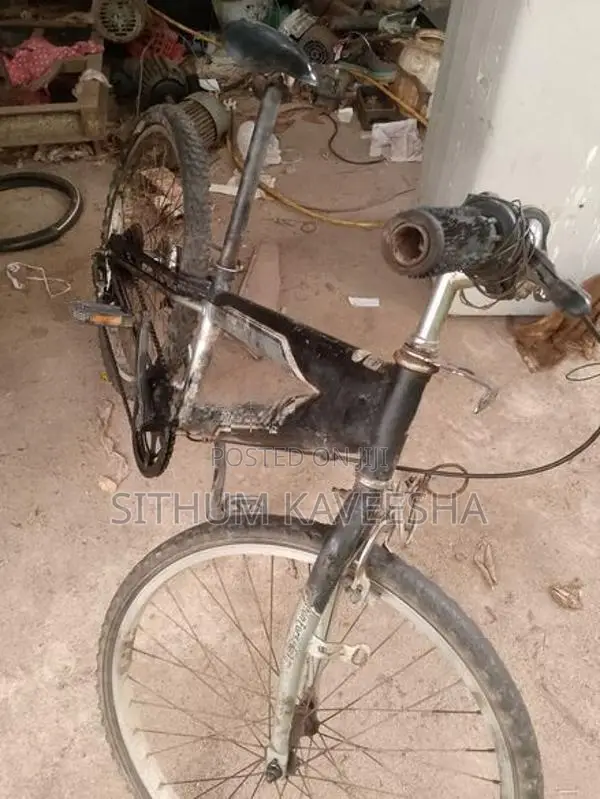 Japanese Bicycle