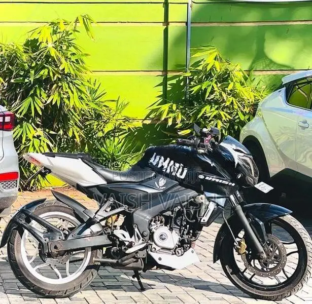 Bajaj Pulsar NS200 BS4 2017