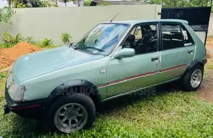 Peugeot 206 1987
