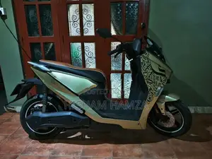 Horwin Scooter 2026