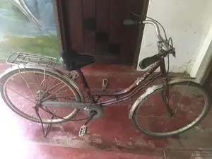 Ladies Bicycle