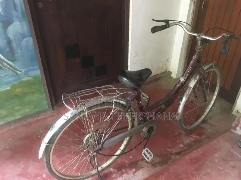 Ladies Bicycle