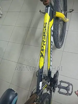 Lumala Bicycle