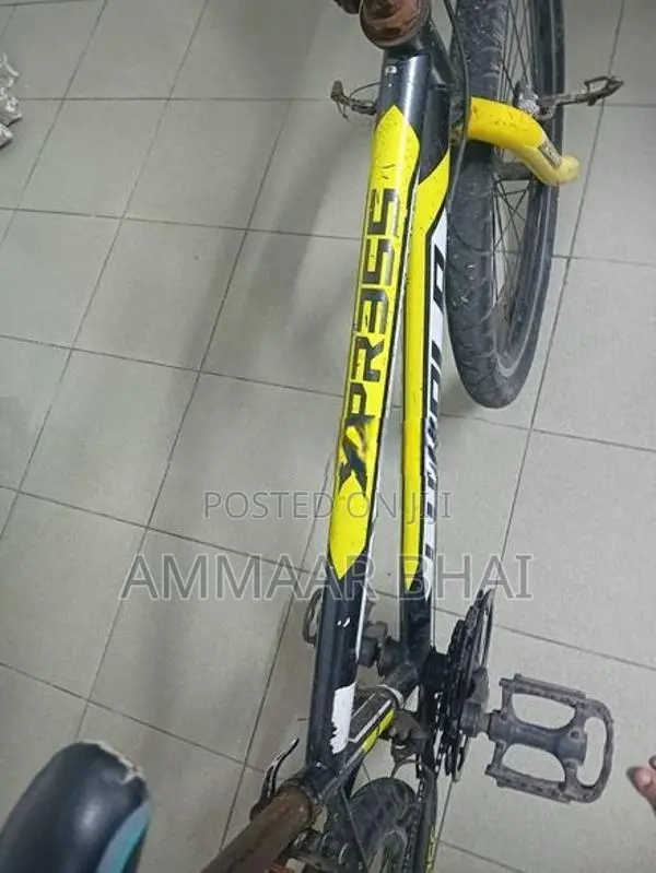 Lumala Bicycle