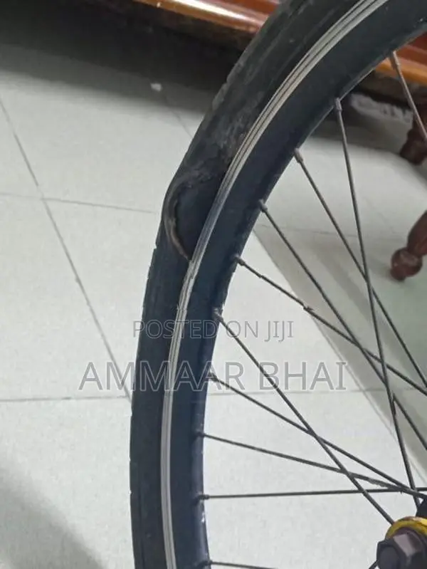 Lumala Bicycle
