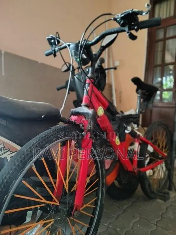 Lumala Streak Bicycle