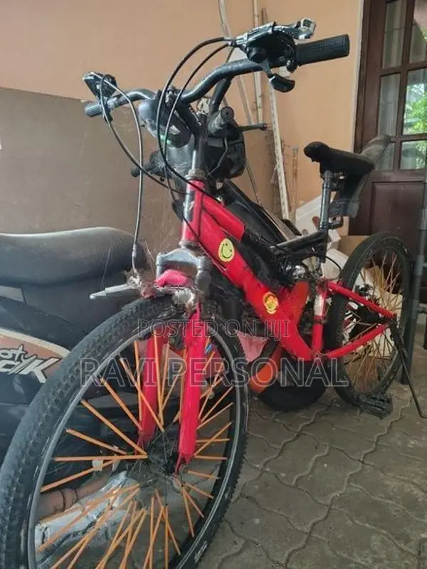 Lumala Streak Bicycle
