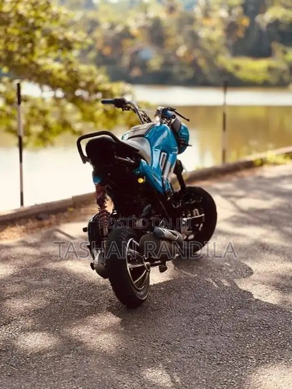 Honda Navi 2019