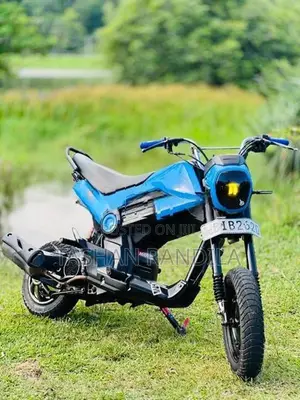 Honda Navi 2019