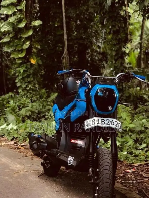 Honda Navi 2019