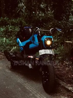 Honda Navi 2019