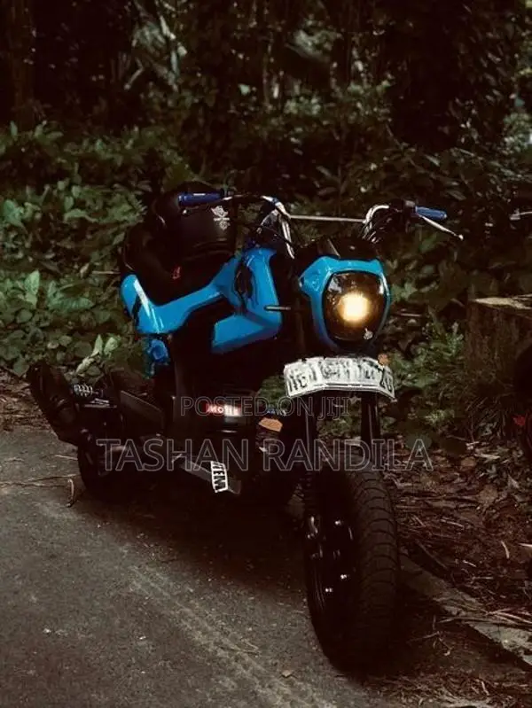 Honda Navi 2019