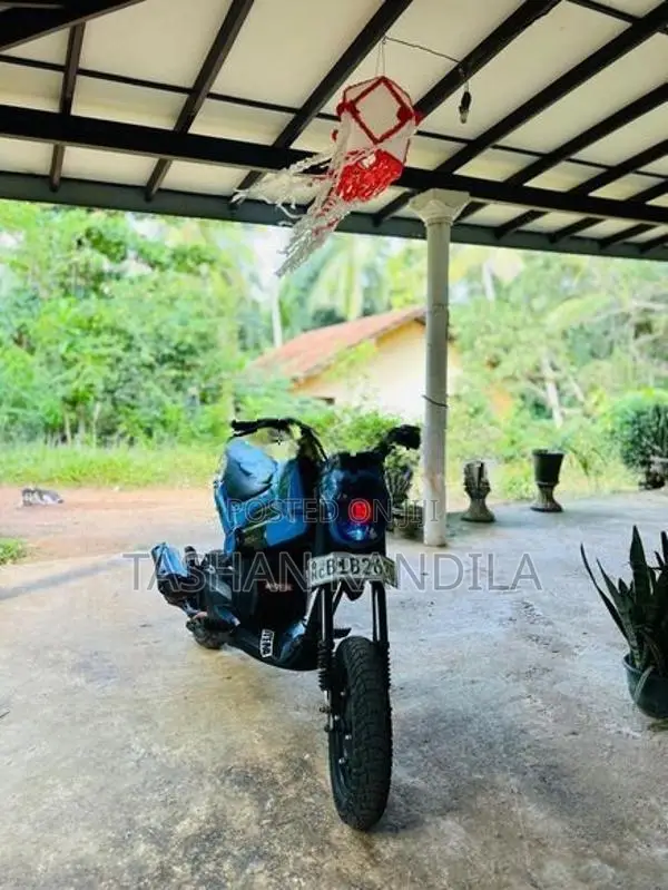 Honda Navi 2019