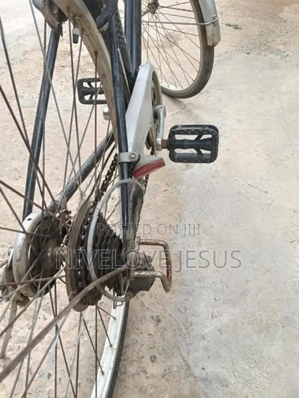 Bicycle Japan