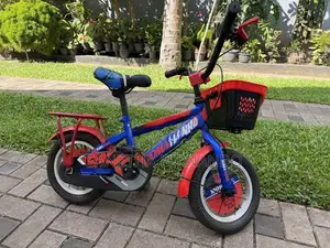 Tomahawk Bicycle