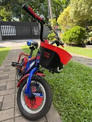 Tomahawk Bicycle