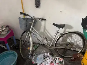 Lumala Bike