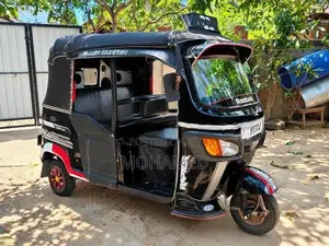 TVS King 2010