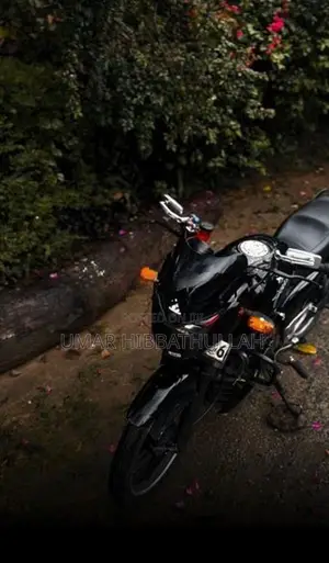 Bajaj Pulsar 180 2006