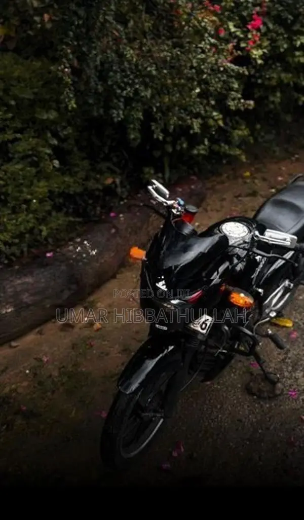 Bajaj Pulsar 180 2006