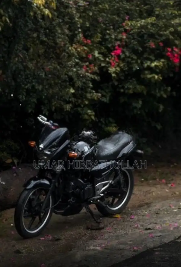 Bajaj Pulsar 180 2006