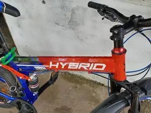 Hybrid Bicycle