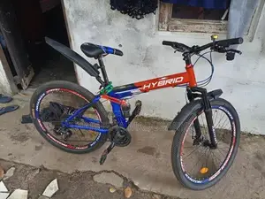 Hybrid Bicycle