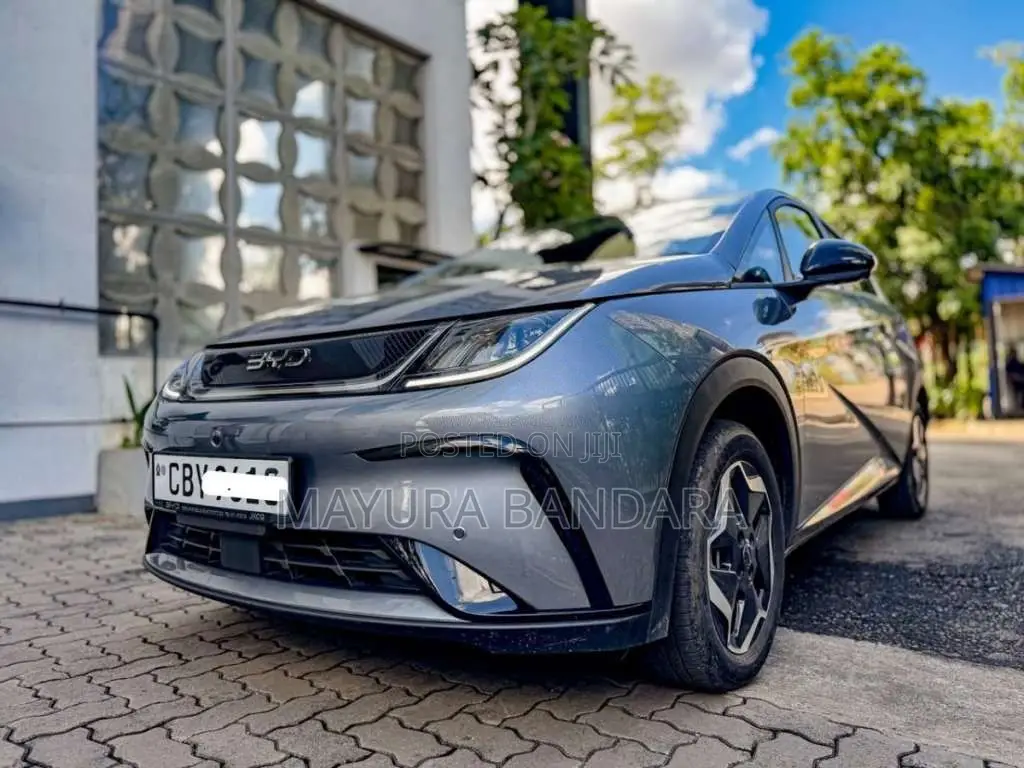 BYD Dolphin 2026 Car (Used)