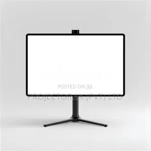 Budget Projector Screens