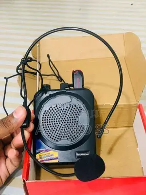 Speaker with Wireless Mic